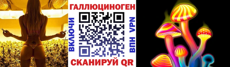 Псилоцибиновые грибы Psilocybine cubensis omg зеркало Нытва